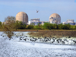 The South Texas Project nuclear plant